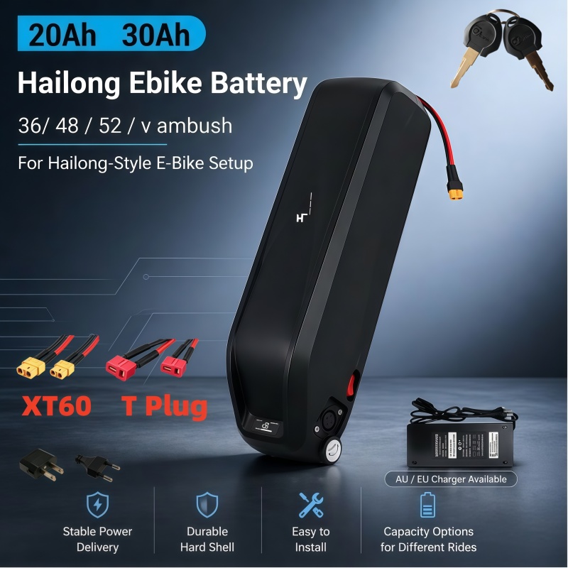 Ebike Battery 48V 20Ah Hailong - Wszechstronna bateria Hailong, wielonapięciowa 36V 48V